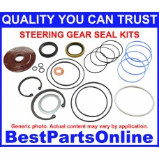 Power Steering Gear Seal Kit Saginaw 800 1979-Up Small Piston