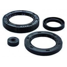 Torque Converter Seal, Ref# AH4153